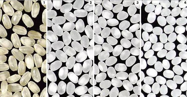 玄米与不同程度的精米步合