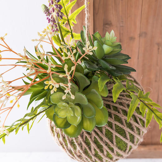 创意家居装饰仿真绿植多肉植物壁挂 麻绳吊球挂饰仿真花艺
