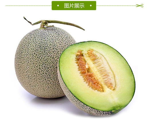 爱媛38号橙子 商品图5