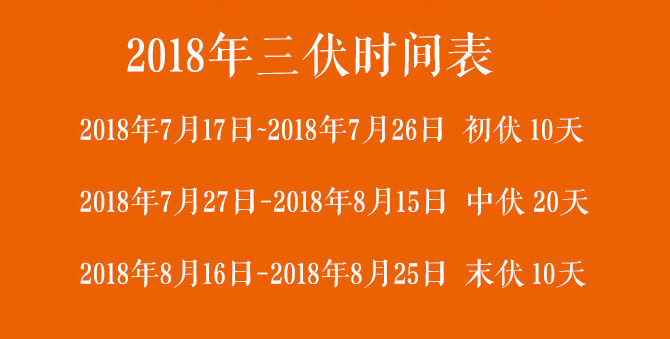 今年三伏天時間表