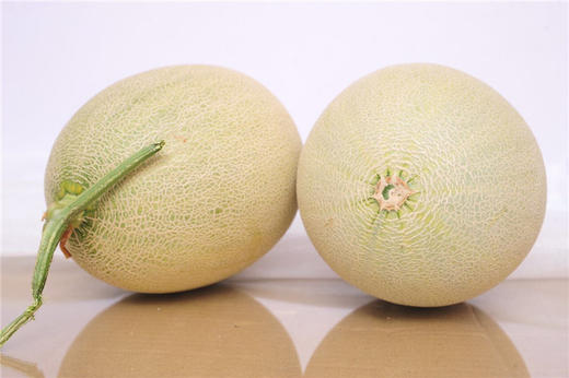 爱媛38号橙子 商品图4