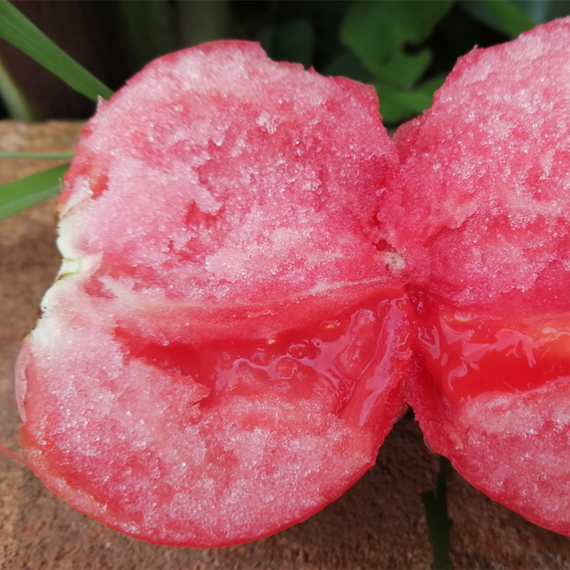 5斤-有机六零标准