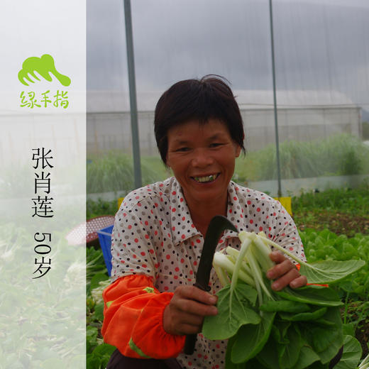 生态牛角椒 | 绿家自产*Ecological Cayenne pepper | Self-production 商品图2