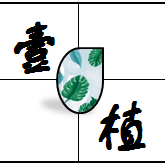 云南壹植鲜花200511