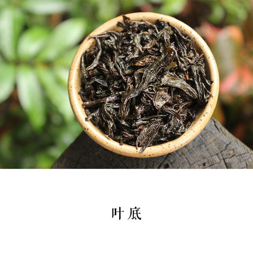 佛国岩铁罗汉2020年正岩武夷岩茶四大名枞铁骨柔情嘉木会督造