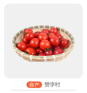 自产贝贝小柿子