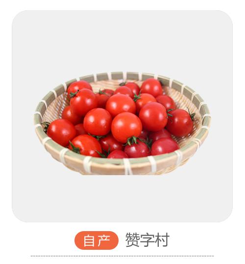 自产贝贝小柿子 商品图0