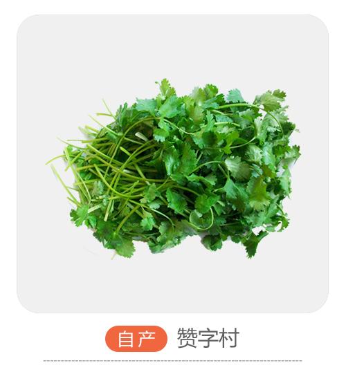 自产香菜 商品图0