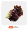 自产紫叶生菜 商品缩略图0