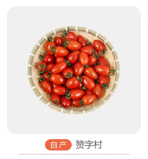 自产香浓2号 商品图0