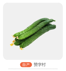 水黄瓜（哈尔滨）