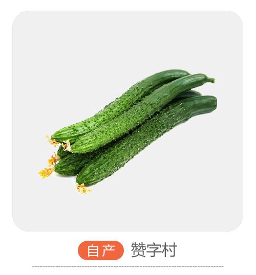 水黄瓜（哈尔滨） 商品图0