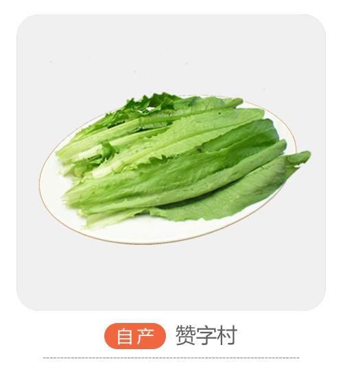 油麦菜（哈尔滨） 商品图0