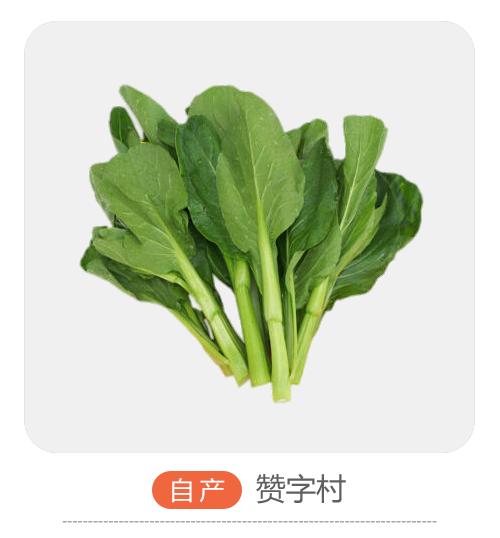 自产菜心 商品图0