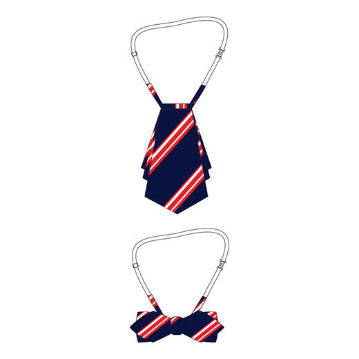 暨阳小学-领结/领花 商品图0