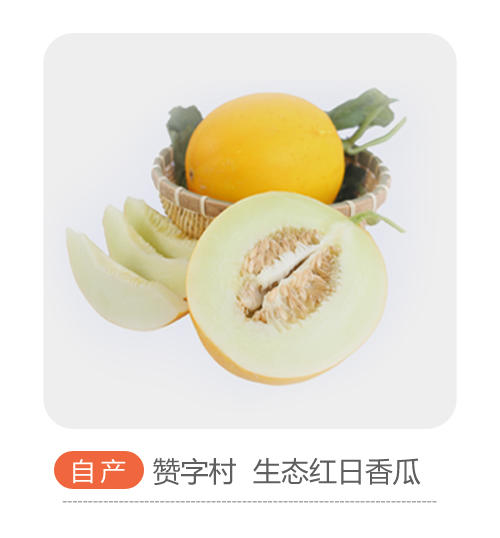 伊丽莎白瓜（哈市） 商品图0
