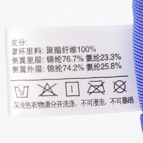 75B蓝色聚拢调整型文胸刺绣性感内衣收副乳A15 商品图3