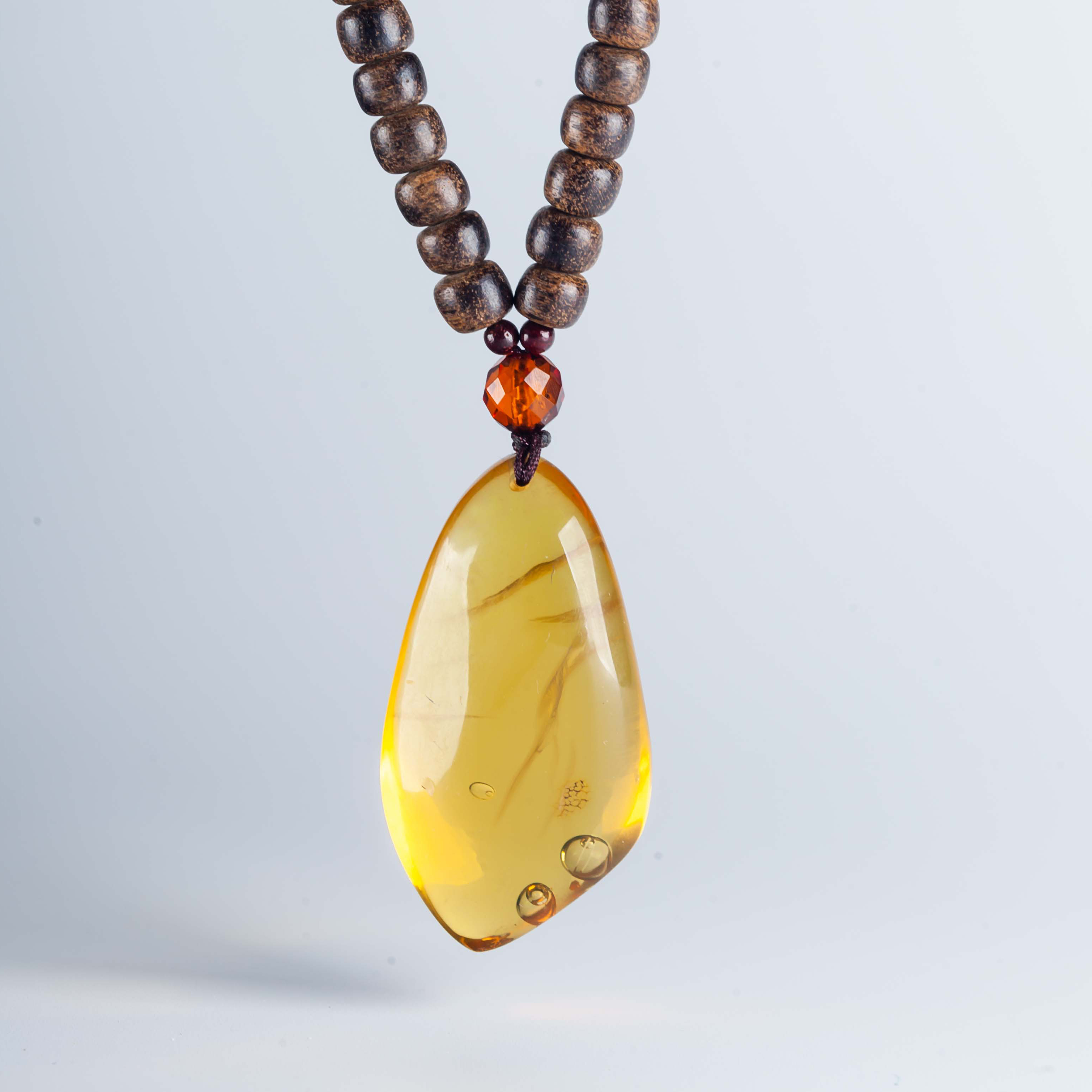 千万年留存下来的虫珀/植物珀/风景珀/水珀 记录生命的痕迹