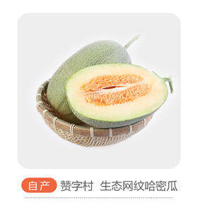 网纹哈密瓜（哈市）