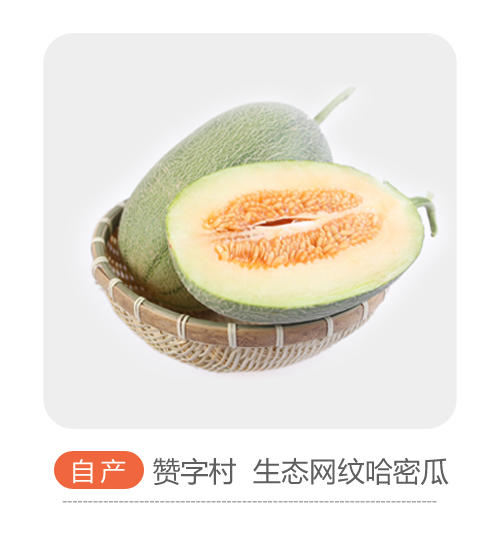 网纹哈密瓜（哈市） 商品图0