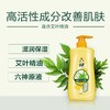 六神艾叶健肤沐浴露(滋润型)1L 商品缩略图0