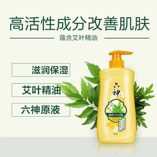 六神艾叶健肤沐浴露(滋润型)1L 商品图0