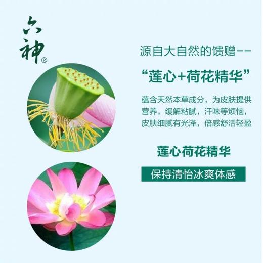 六神清怡冰爽沐浴露（莲心+荷花）1L 商品图2