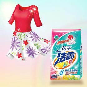 洁霸亮彩洗衣粉2.5千克