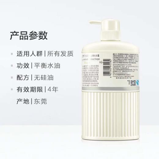 艾诗芬香洗发露优雅花香无硅油 500ml 商品图2