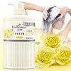 艾诗芬香洗发露优雅花香无硅油 500ml 商品缩略图1