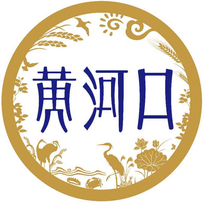 黄河口优选200511