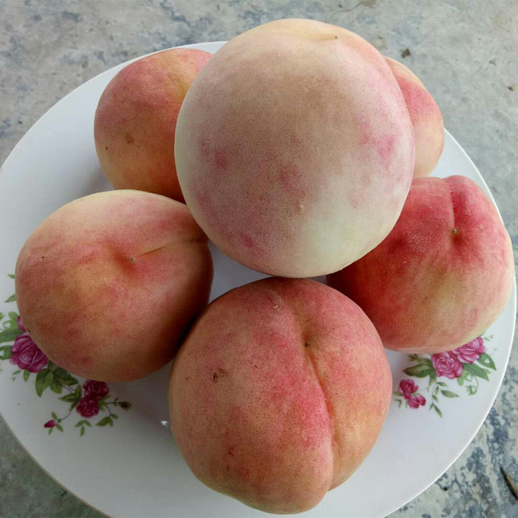 外型粉粉的,少女心顿时满满的!