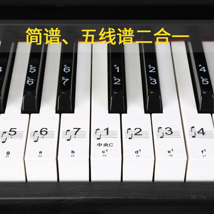钢琴键盘贴纸88键61电子琴手卷钢琴键贴五线谱简谱按键音标数字贴