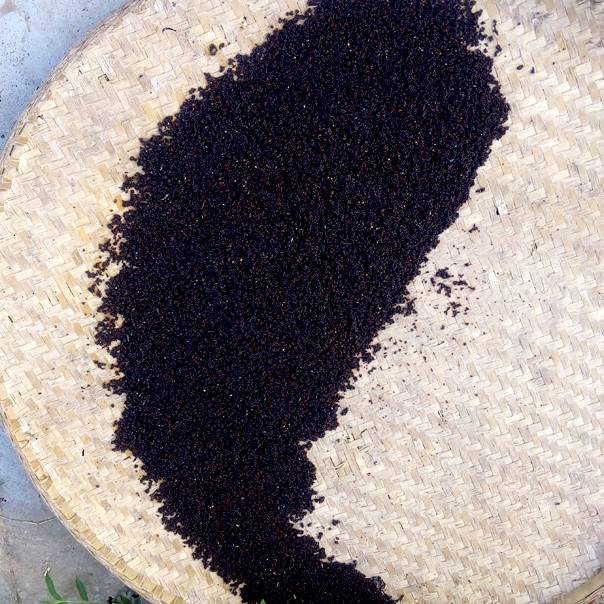 小榨菜籽油 零添加 精选新收割的自种油菜籽 非萃取