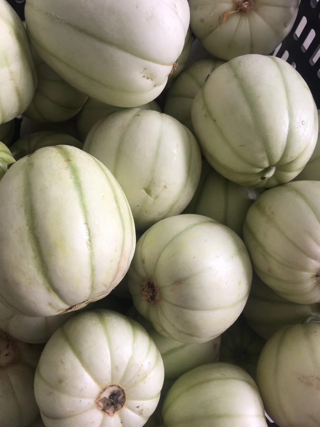 亭林雪瓜的做法(亭林雪瓜上市时间)