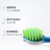 竹盐乳牙期儿童牙刷/支 商品缩略图1