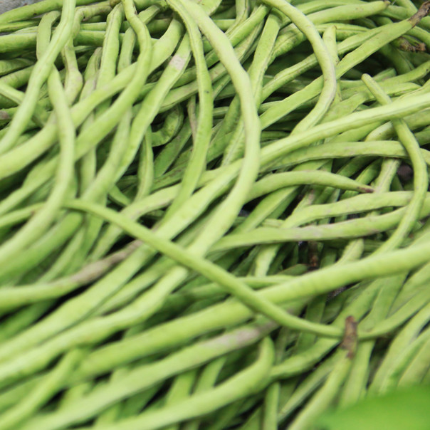 豇豆 性味甘平 健胃补肾 富含蛋白质及多种微量元素 500g