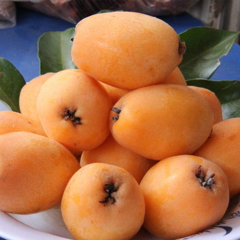 枇杷  500g/份（清甜爽滑、口口爆汁）