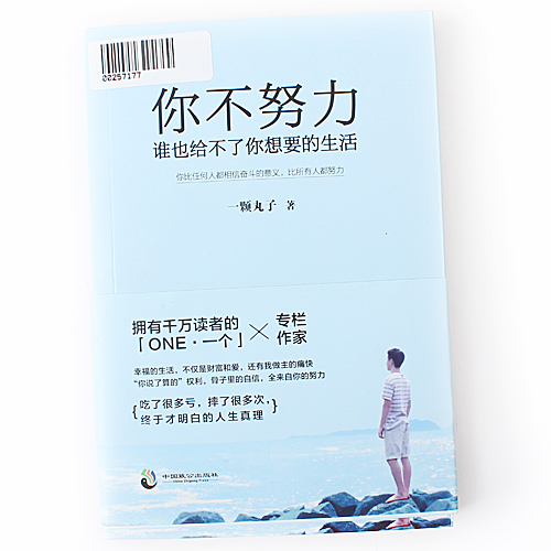 你不努力谁也给不了你想要的生活 青春文学小说励志书籍畅销书心灵鸡汤A30