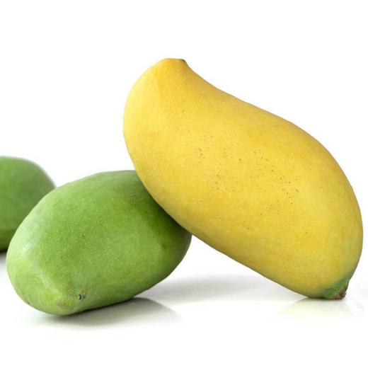 缅甸鹰嘴芒 商品图1