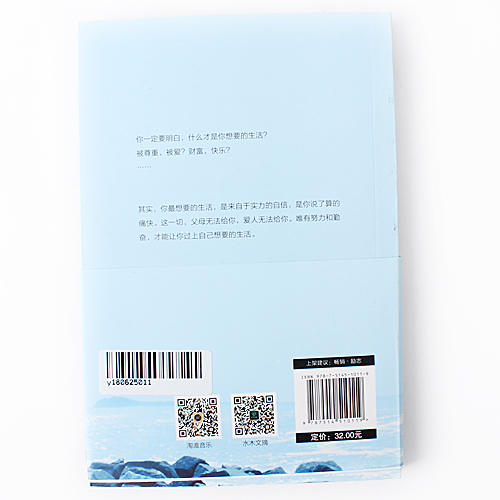 你不努力谁也给不了你想要的生活 青春文学小说励志书籍畅销书心灵鸡汤A30 商品图1