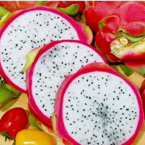 白心火龙果 1000g 商品图1