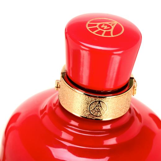 50度五粮醇得名17周年纪念酒3000ml（2012年老酒）单瓶 商品图1