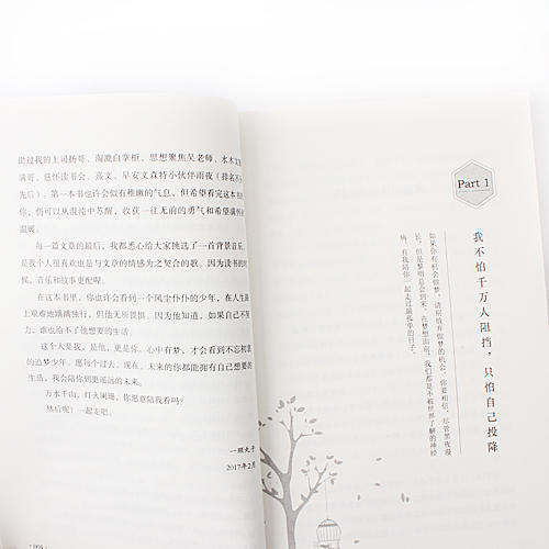 你不努力谁也给不了你想要的生活 青春文学小说励志书籍畅销书心灵鸡汤A30 商品图4
