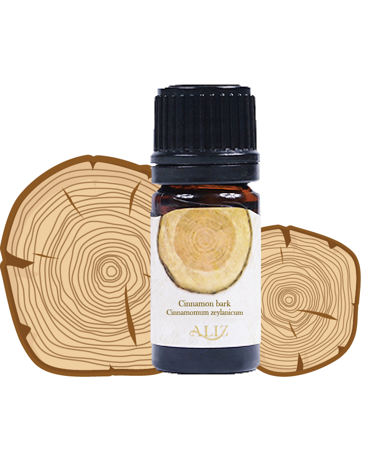 肉桂皮 cinnamon bark