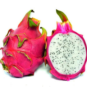 白心火龙果 1000g