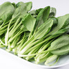 年卡-菜心300g 商品缩略图0