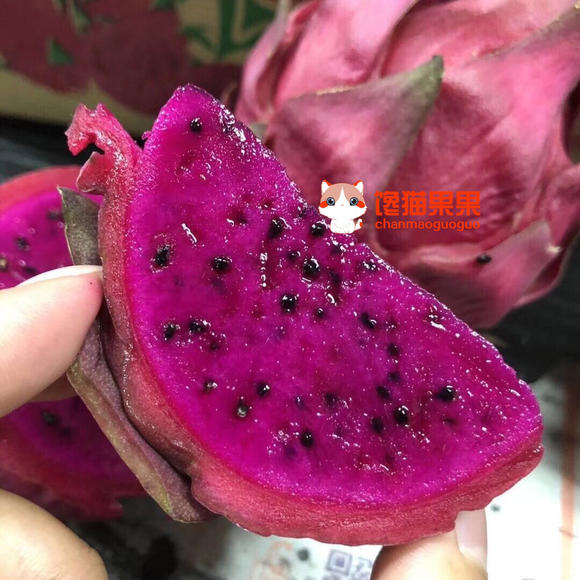 广西蜜宝火龙果 台湾软枝大红品种。8枚装,外