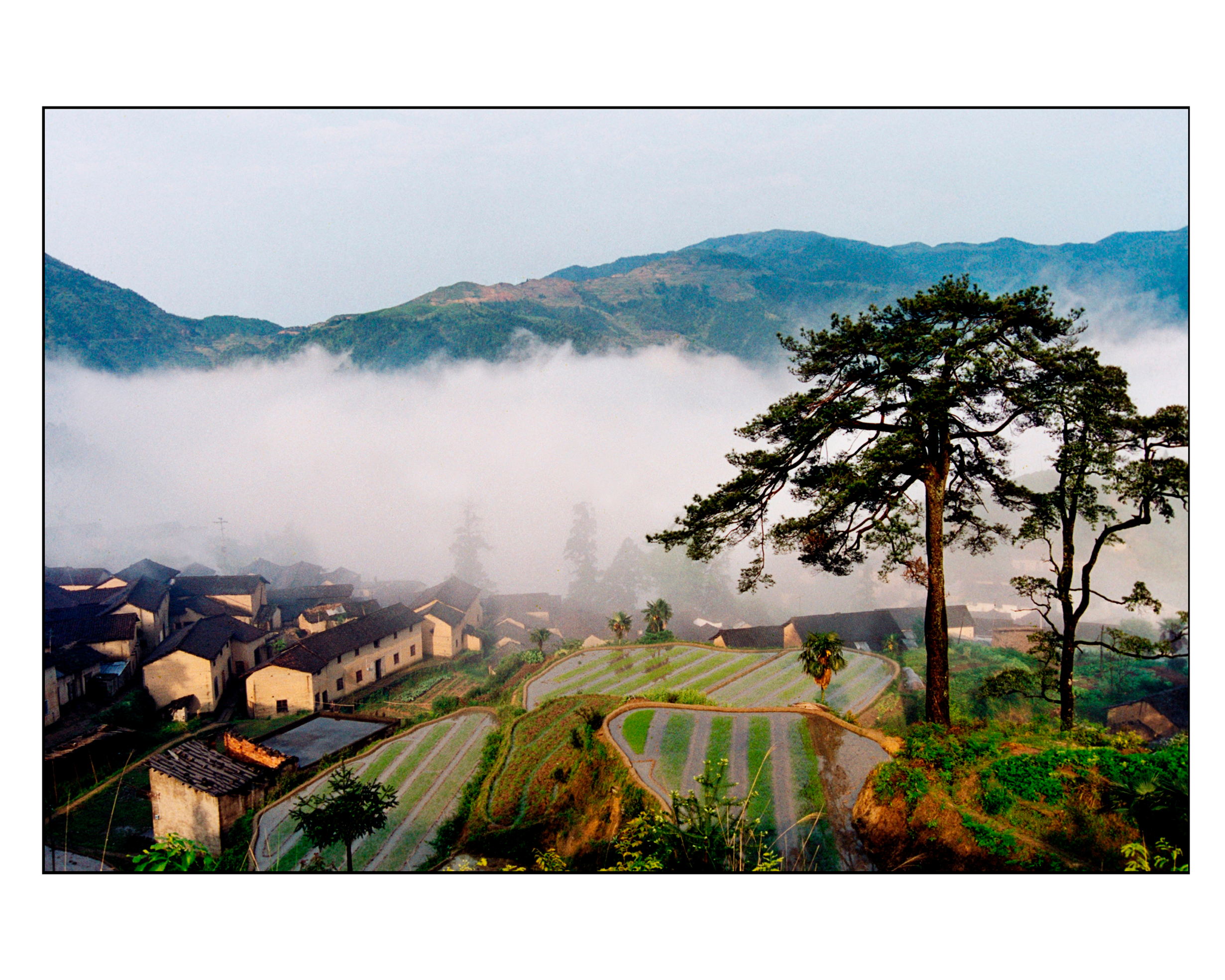 松阳县云上平田木香草堂民宿酒店