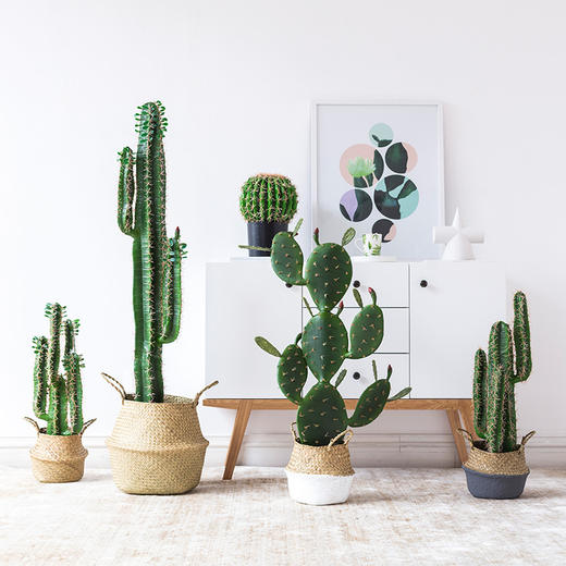 德哥尔摩仿真中大型仙人掌盆栽北欧客厅装饰落地仙人掌柱植物